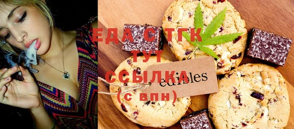 индика Аркадак