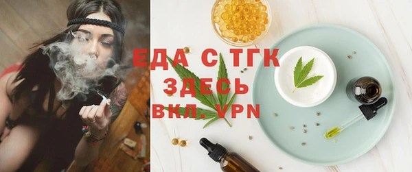 индика Аркадак