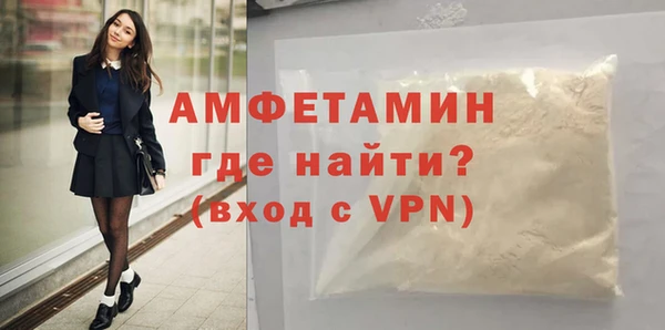 шишки Арсеньев