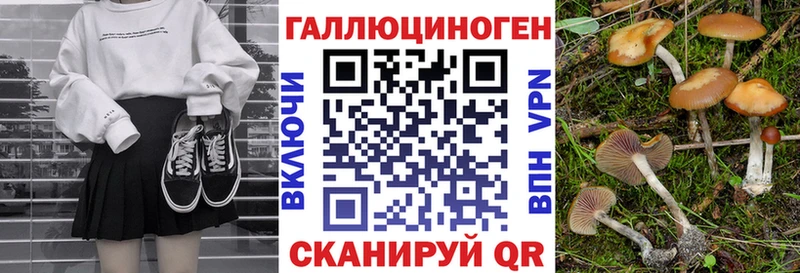 MEGA tor  Балей  Галлюциногенные грибы прущие грибы 